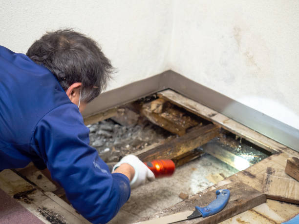 Best Mold Testing  in West Unity, OH