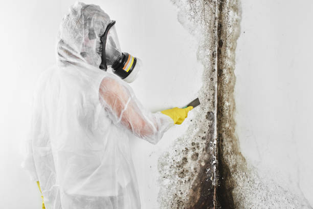 Best Crawl Space Mold Removal  in West Unity, OH